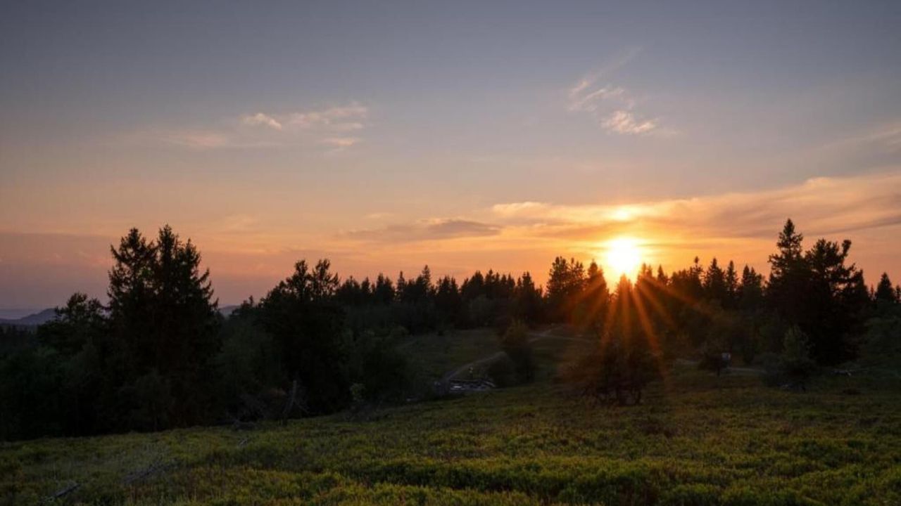 AreaSummer5KM AreaSummer5KM